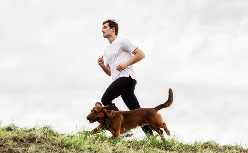 Your Ultimate Guide to Trail Running with Your Dog