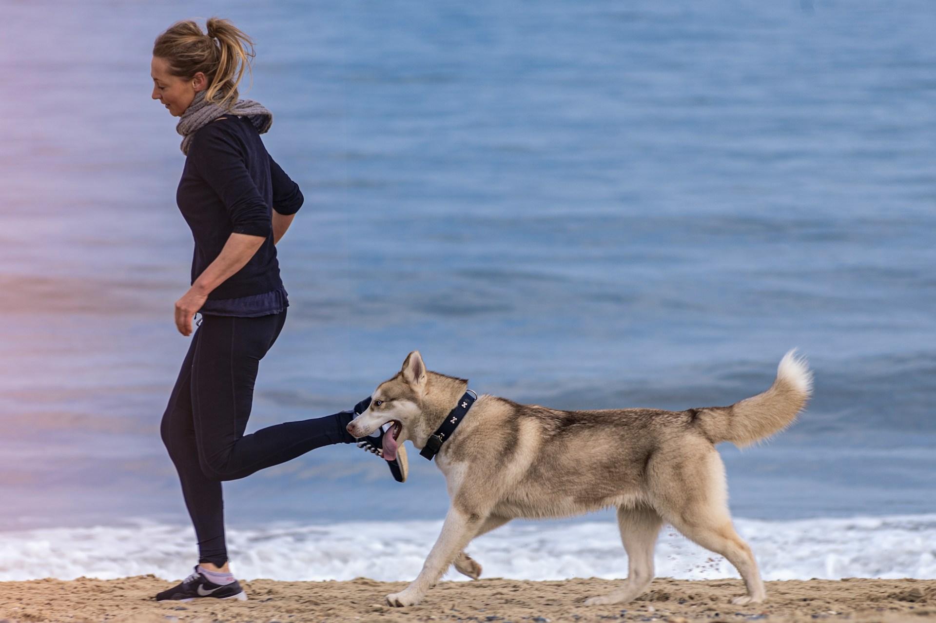 Running with Pets: How to Safely Run with Your Dog